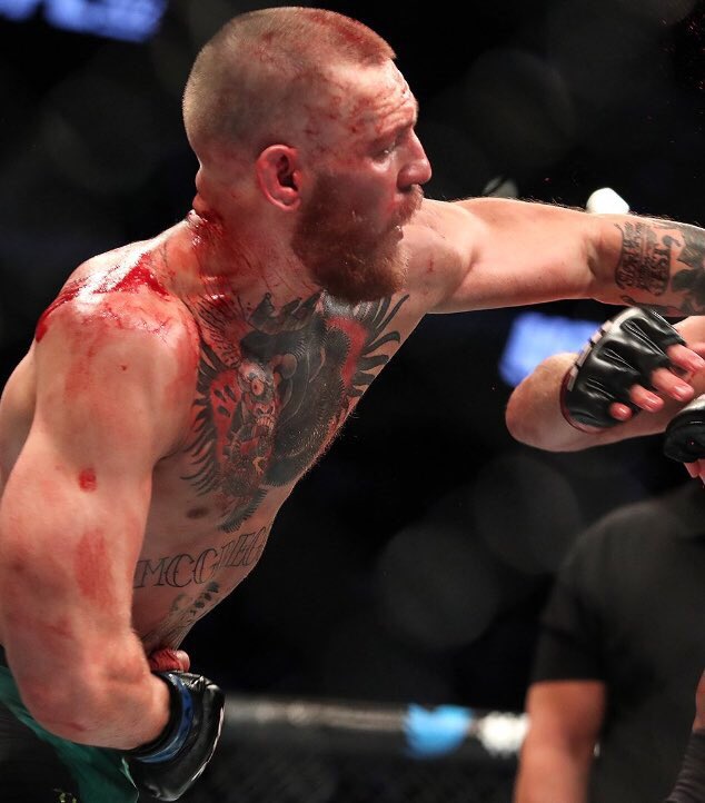 conor mcgregor fighter