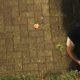 guys caught pissing in public