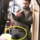 visible penis line from guy in metro