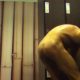 nude straight stud caught in lockerroom