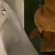 enormous fat dick peeing urinal