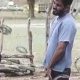 bearded guy peeing and shaking cock in public