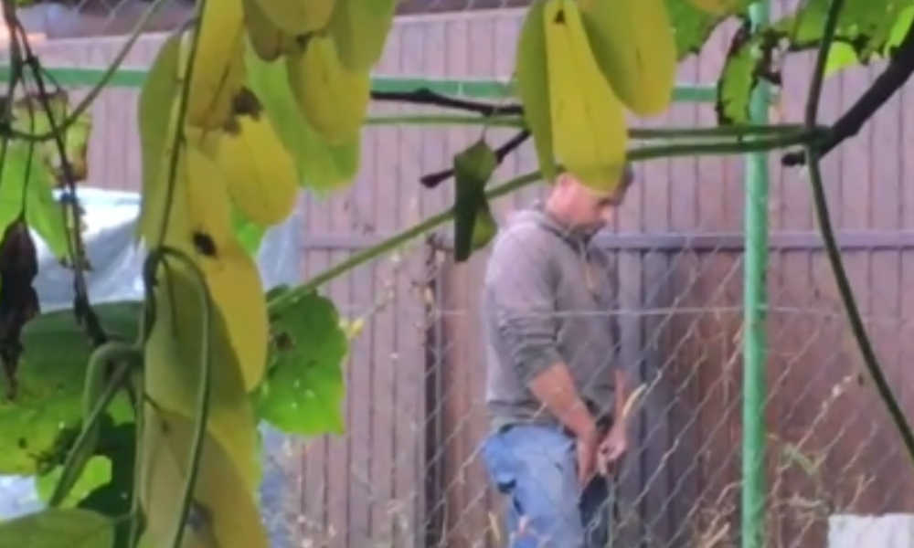 Carpenter guy caught peeing outdoor