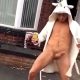guy with unicorn costume flashing cock in the street