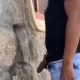 hung guy caught peeing in public by hidden cam