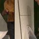 guy with a huge cock found peeing at urinal by hidden cam