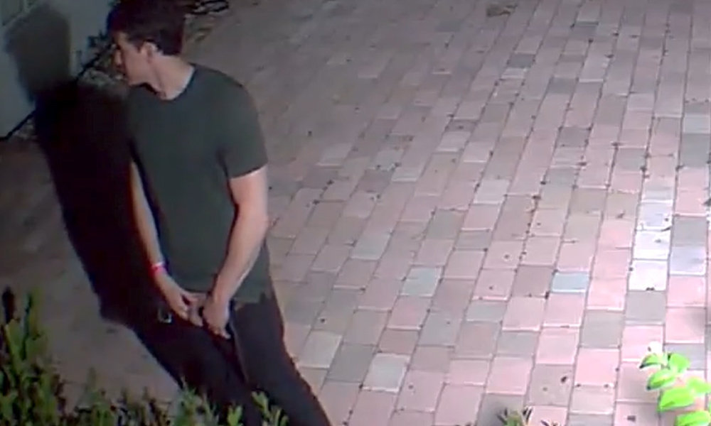 drunk guys caught peeing in backyard by spycam