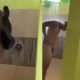 Hairy guys caught naked in shower by hidden camera